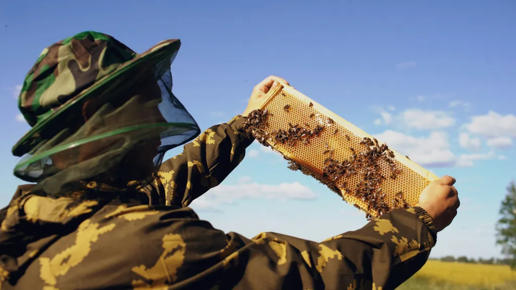 unsplash_4HVHaharHIw_honey harvest.webp