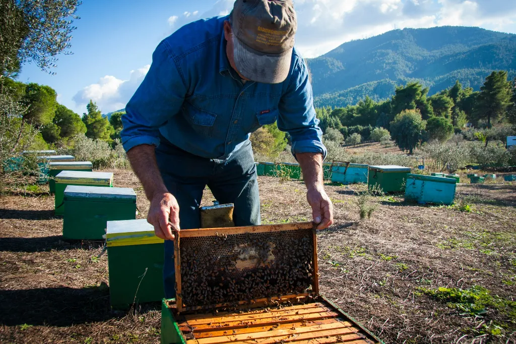 unsplash_WKnE3gf_Y88_bee keeper.webp